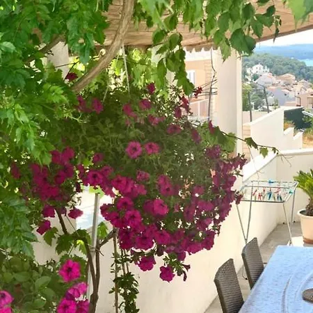 アパート *new Apartment* Petra